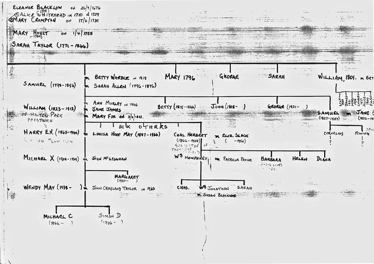 RH.half.of.2nd.main.tree