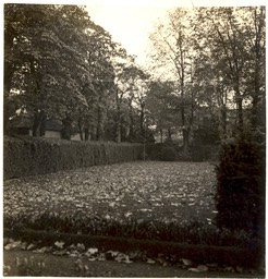 Somerville front garden.lawn