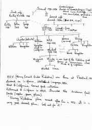 The Pickstone Plum Family Tree