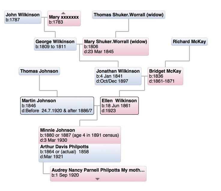 The Wilkinson connection to ANPG's family